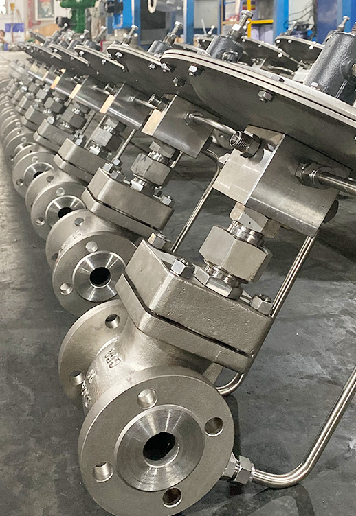 REOWO Small Flow Control Valve Supply to Singapore
