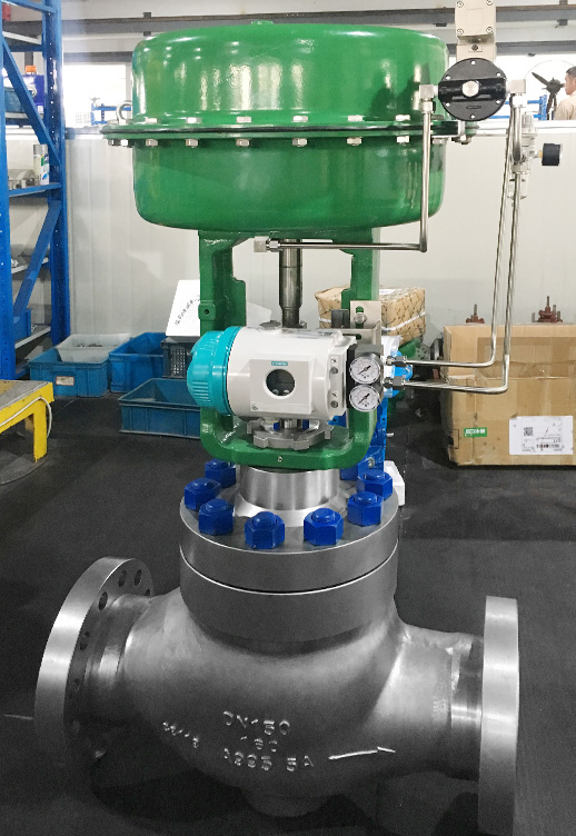 REOWO Duplex Stainless Steel Control Valve Supply to Malaysia